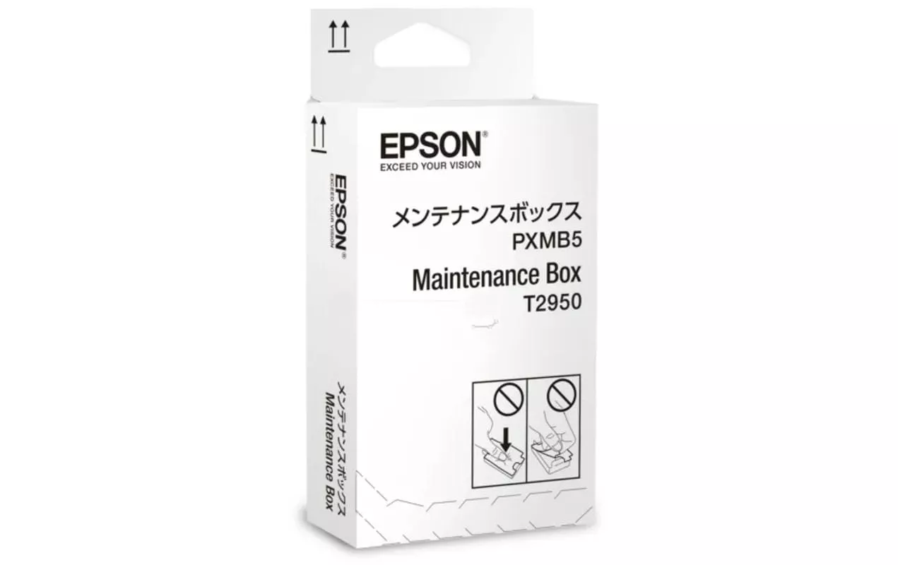 Kit di manutenzione Epson C13T295000