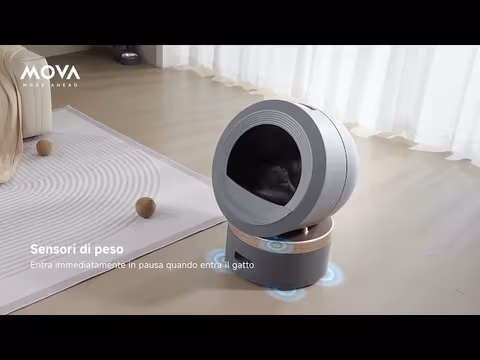 Video prodotto su LR10 Prime Gray 