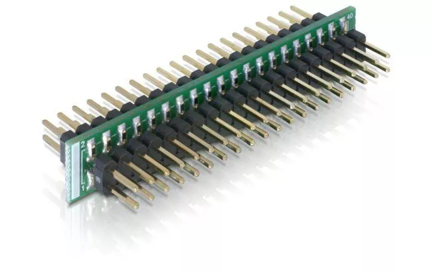 Adattatore Delock connettore IDE 40 pin