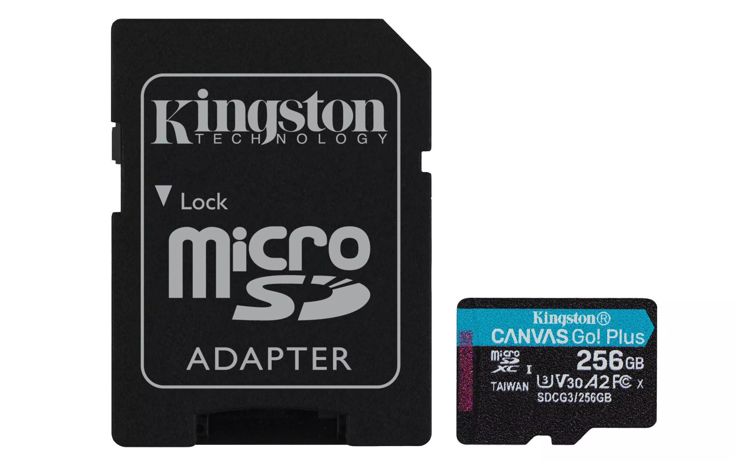microSDXC-Karte Canvas Go! Plus 256 GB