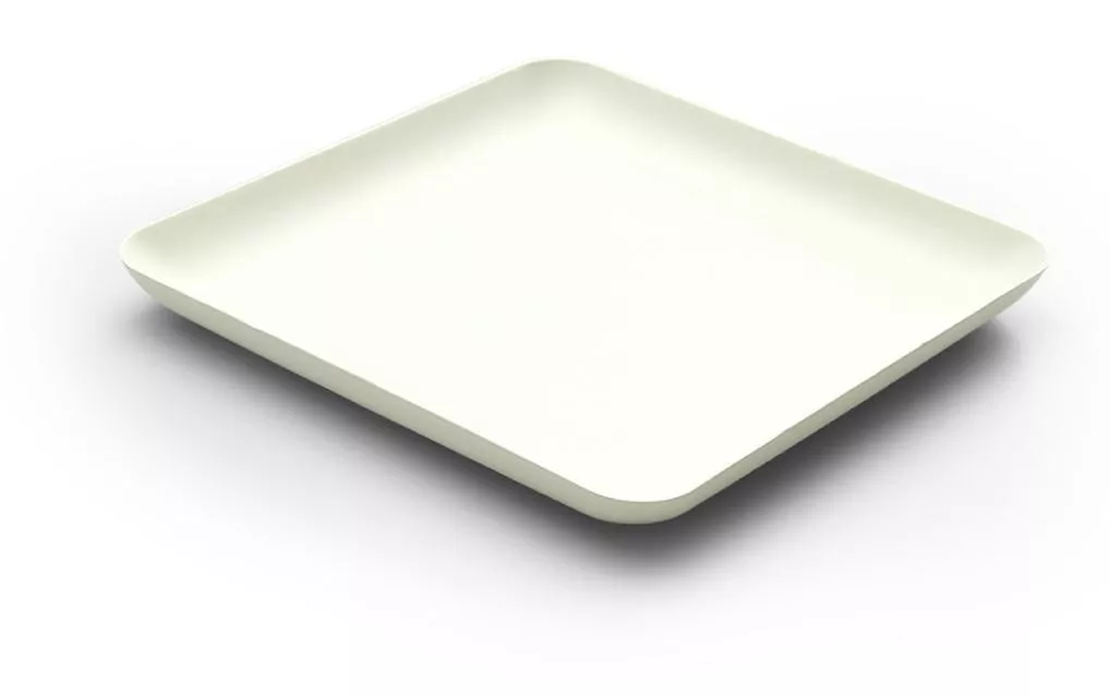 Bagastro piatti monouso 16 cm x 1,5 cm x 16 cm, 40 pezzi