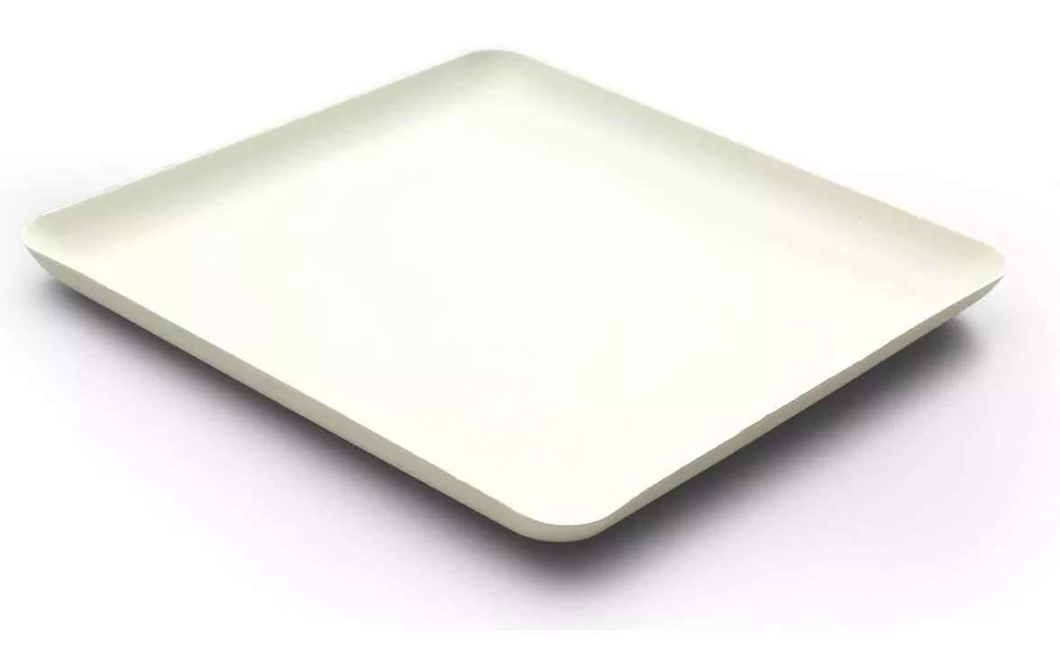 Bagastro piatti monouso 20 cm x 1,5 cm x 20 cm, 40 pezzi