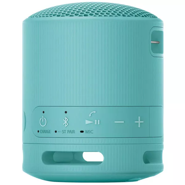 SRS-XB100 Blau - Bluetooth Lautsprecher, IP67 spritzwasserfest - Portable  Speakers