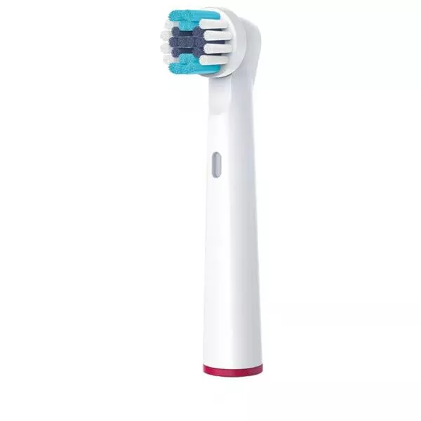 Clean Testa della spazzola TB30/50