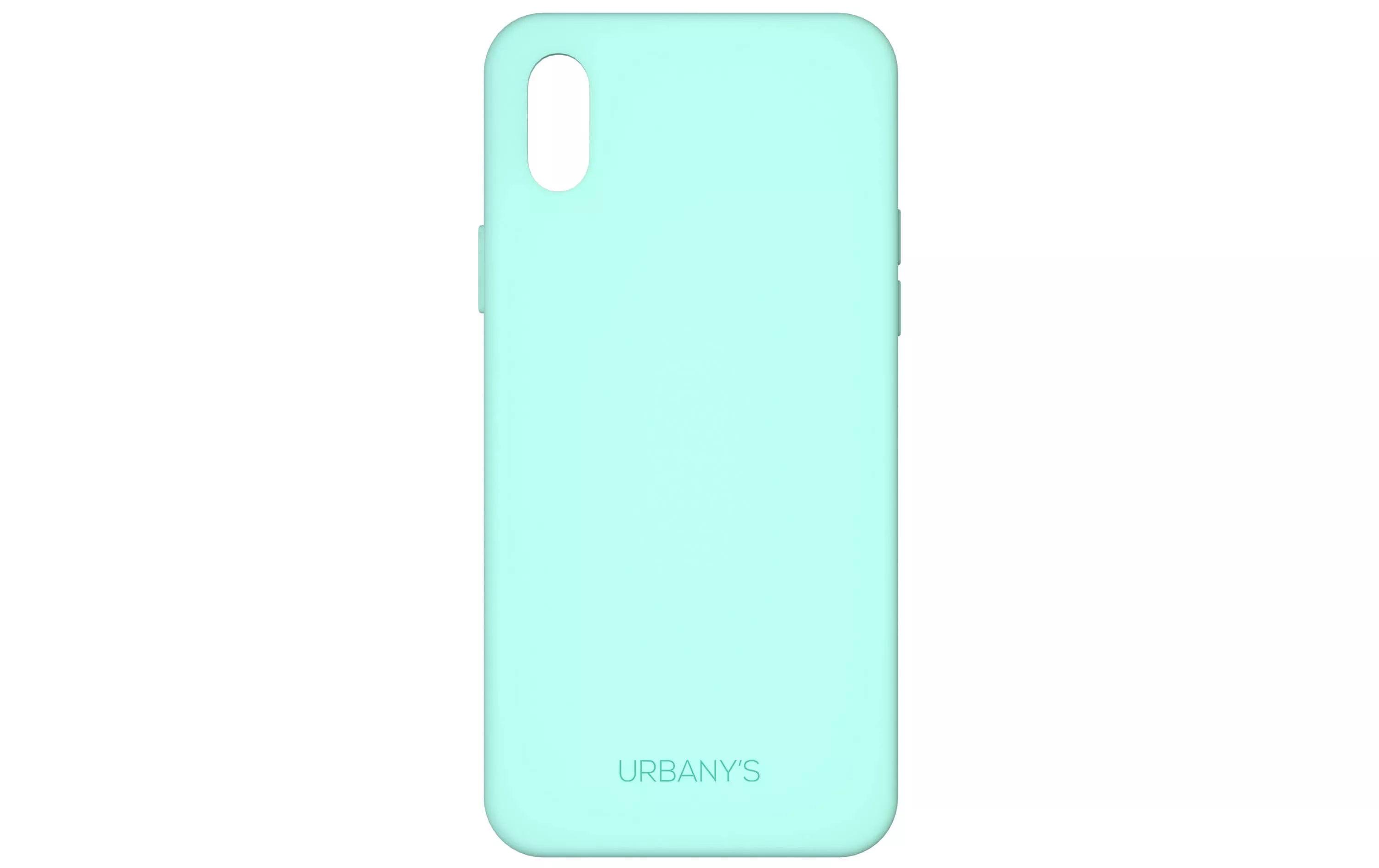 Coque arrière Minty Fresh Silicone iPhone X/XS
