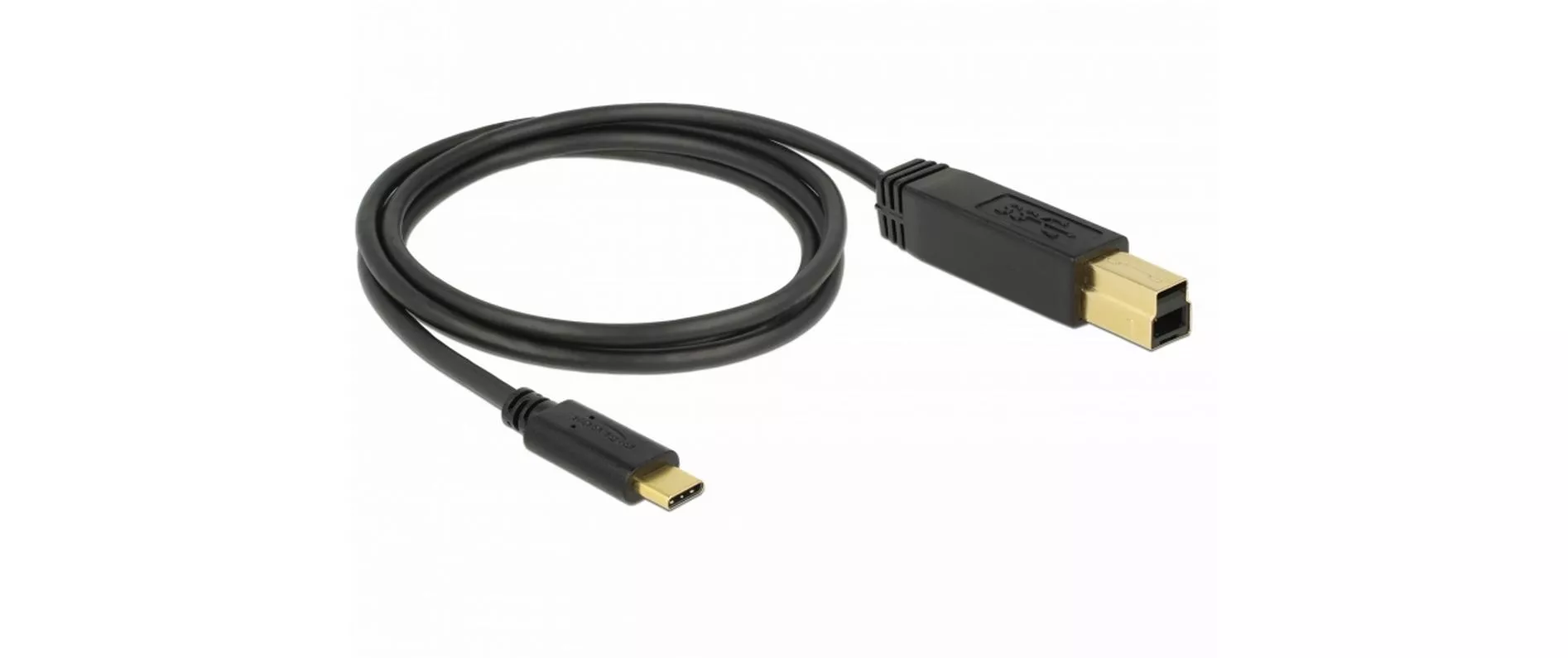 Cavo Delock USB 3.1 USB C - USB B 1 m