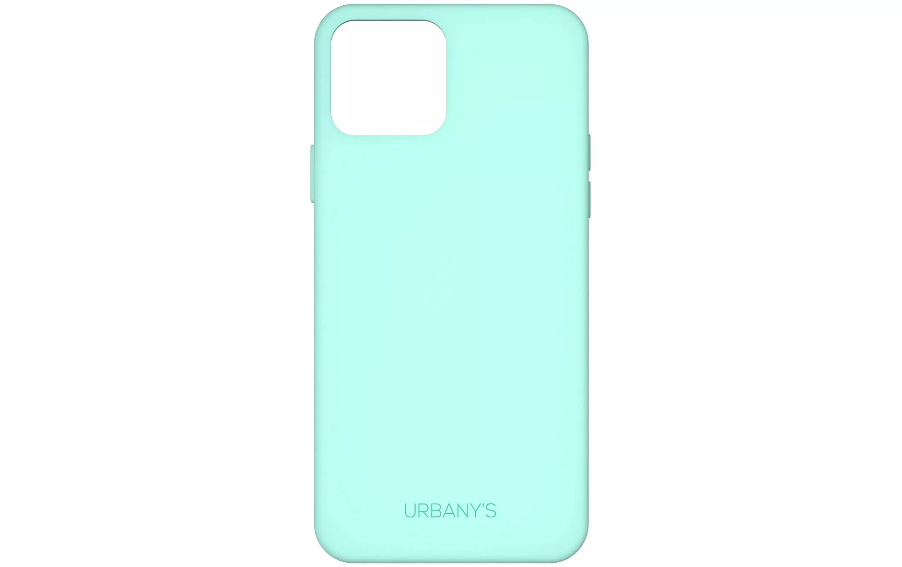 Coque arrière Minty Fresh Silicone iPhone 12/12 Pro