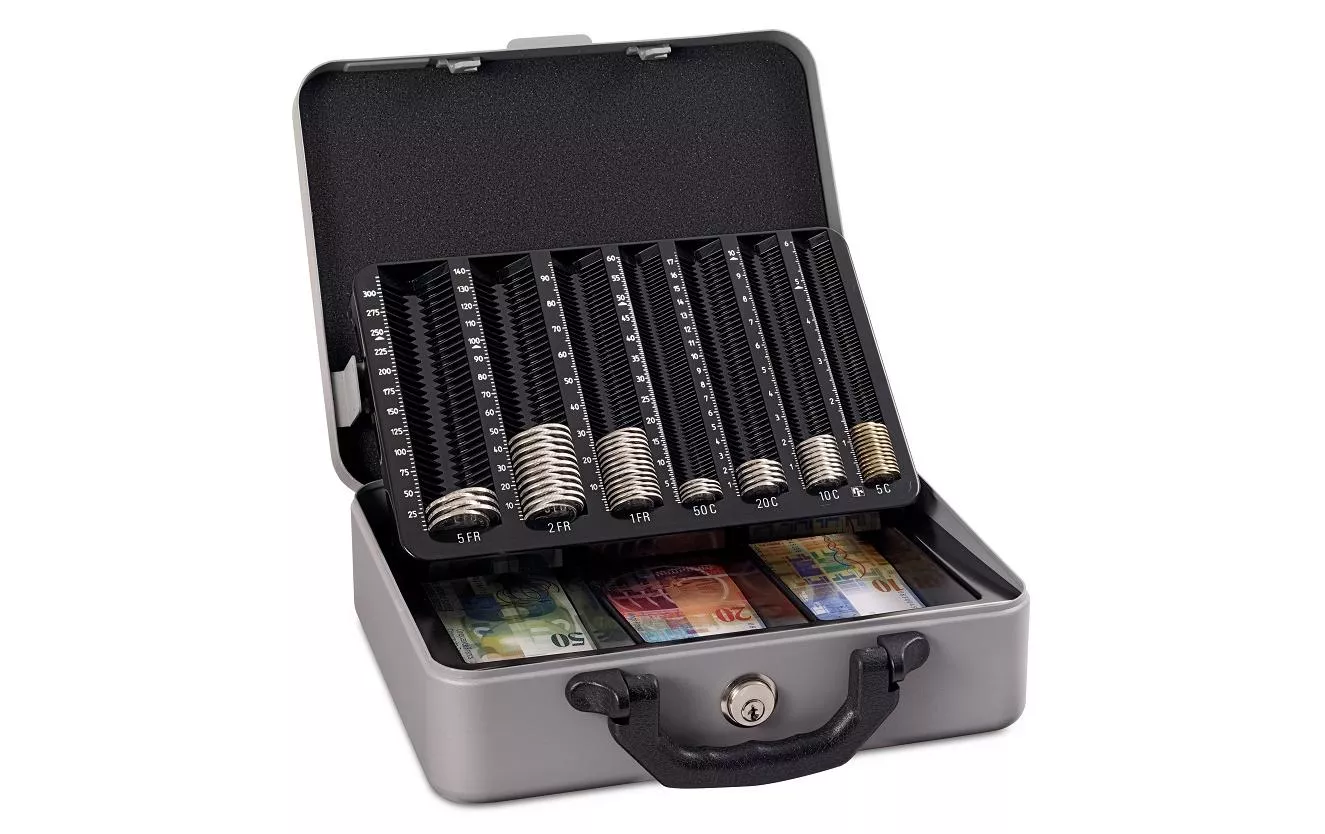 Cash Box Moneta-Deluxe-Ch 30 x 24,2 x 10,2 cm, Grigio