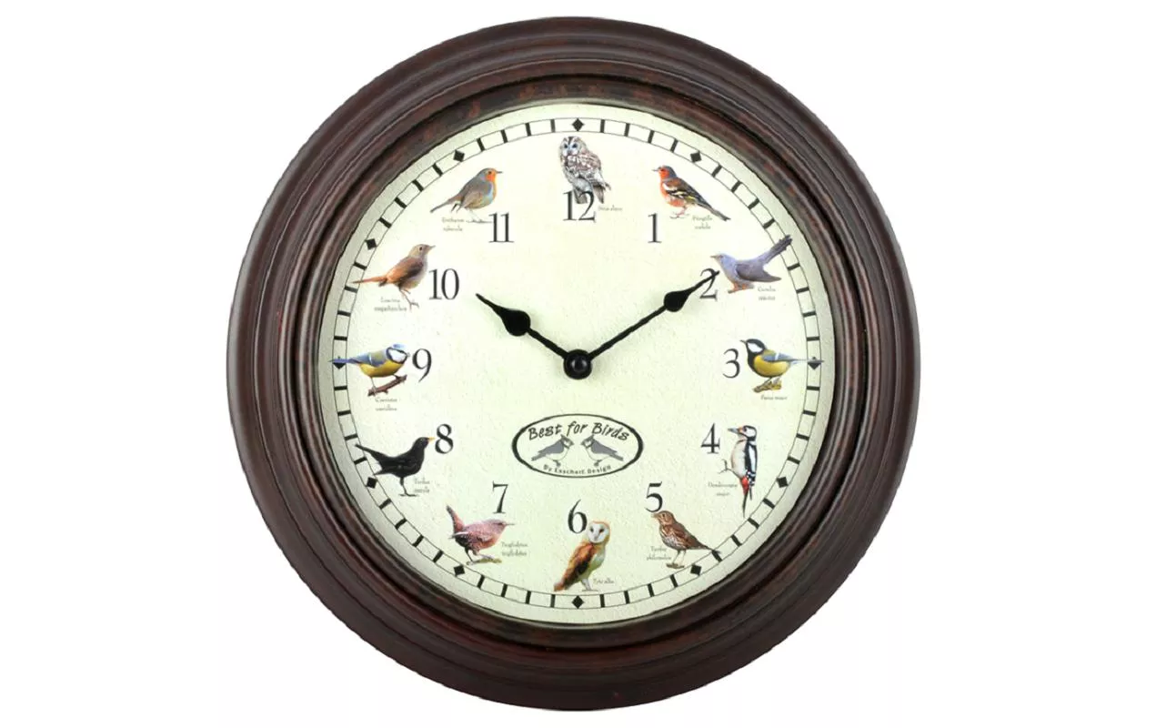 Horloge murale avec des cris d\'oiseaux Ø 30.1 cm, brun/blanc