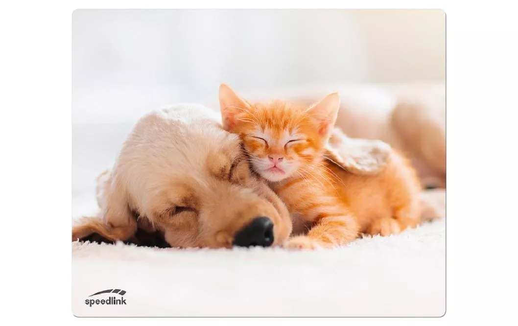 Bedruckte Mausmatte Dog and Cat Mehrfarbig