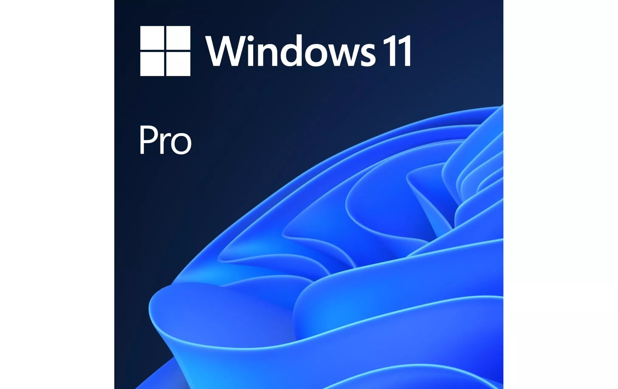 Windows 11 Pro Prodotto completo, OEM, Tedesco