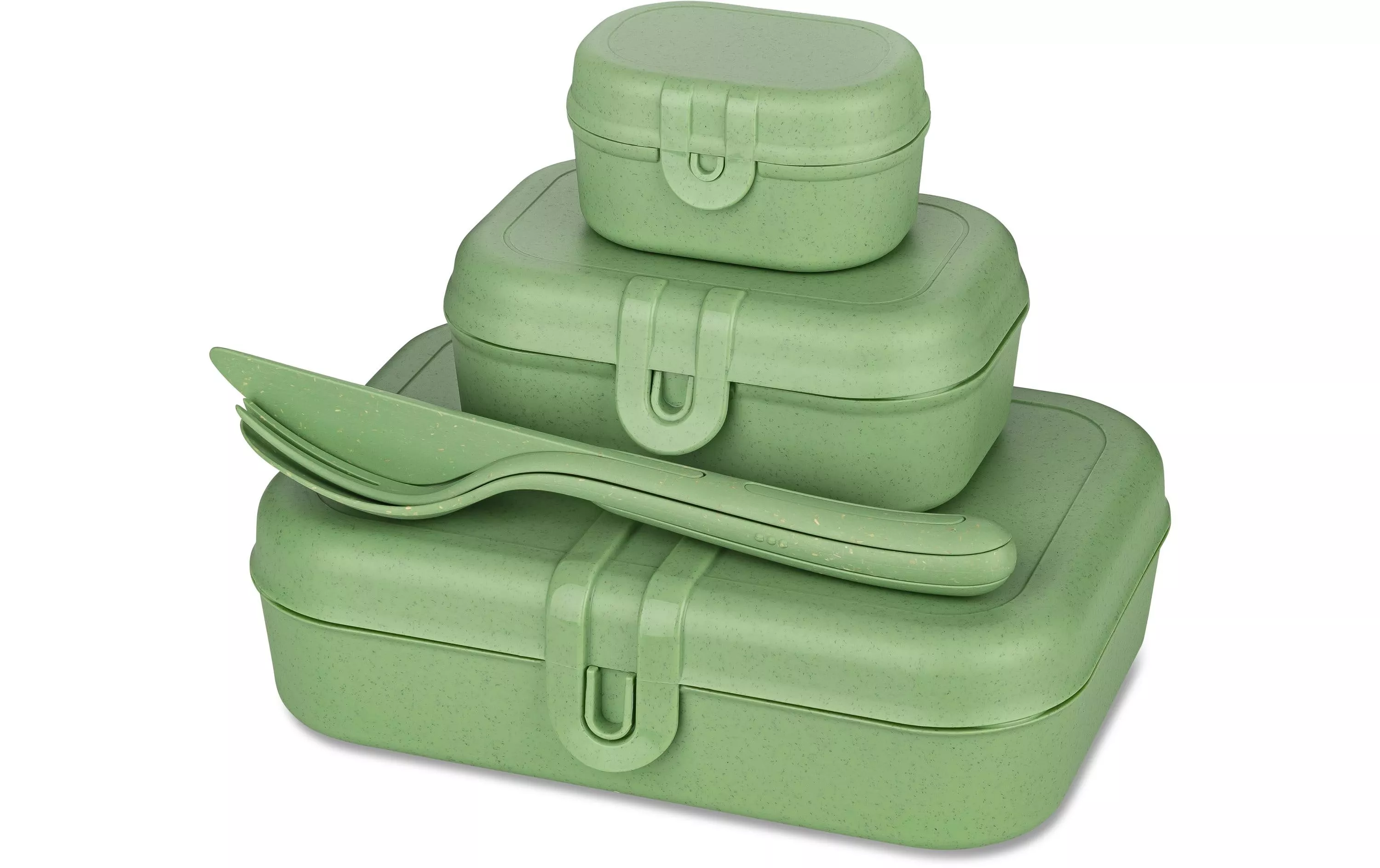 Lunchbox Pascal Ready 4 pezzi, verde