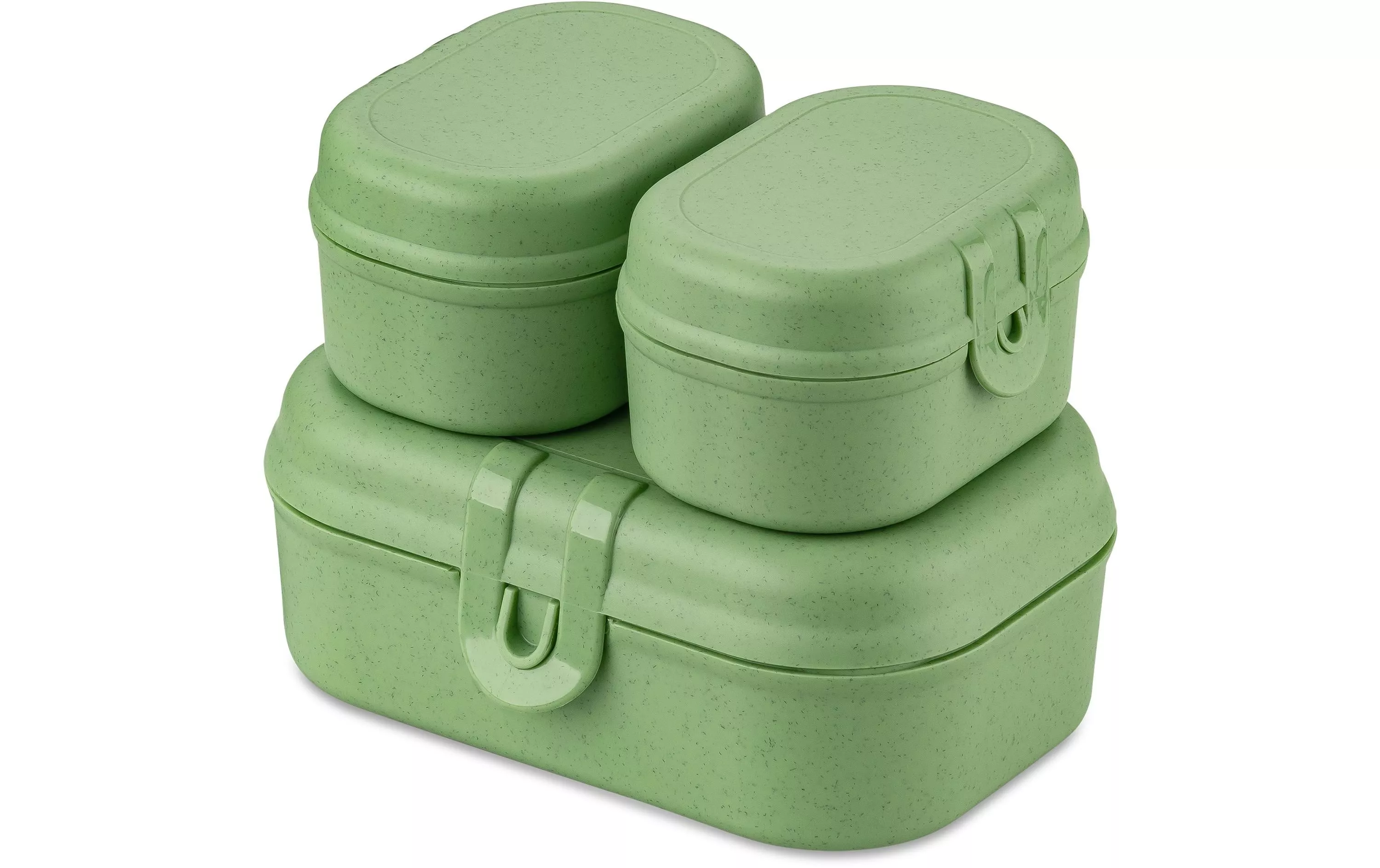 Lunchbox Pascal Ready Mini Verde
