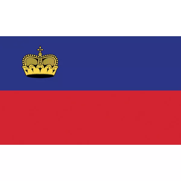 Zuschlag für die Lieferung ins Fürstentum Liechtenstein