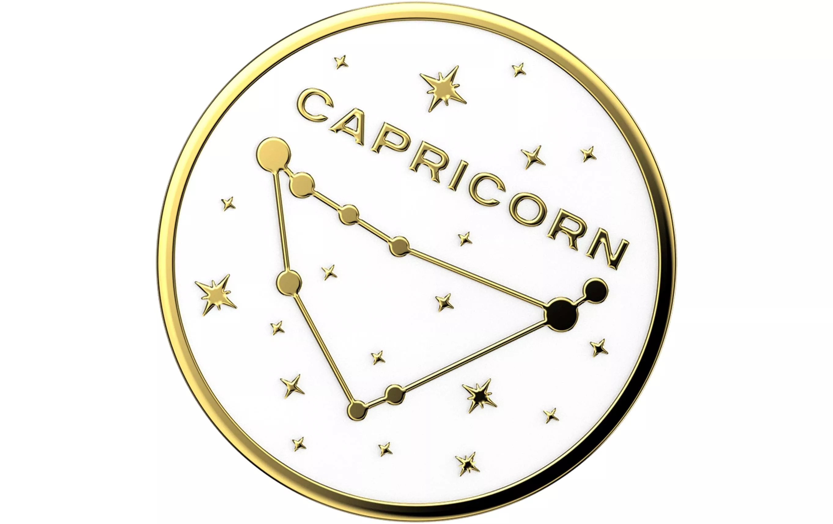 Halterung Premium Capricorn