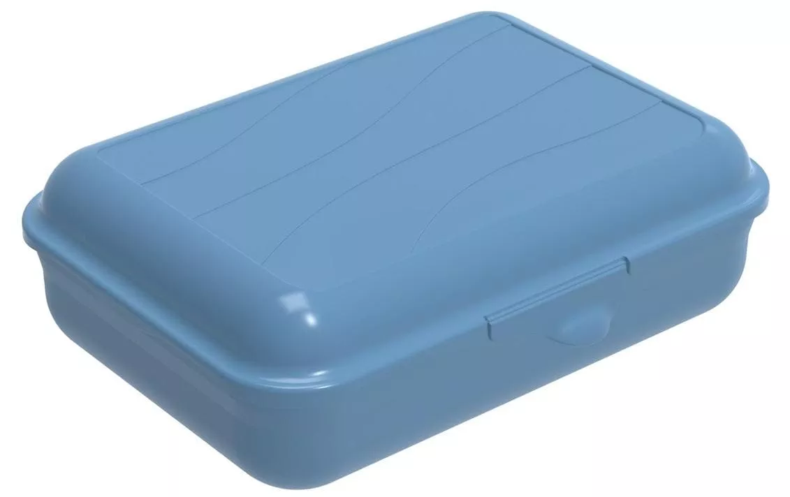 Lunchbox Fun 1250 ml, Blau