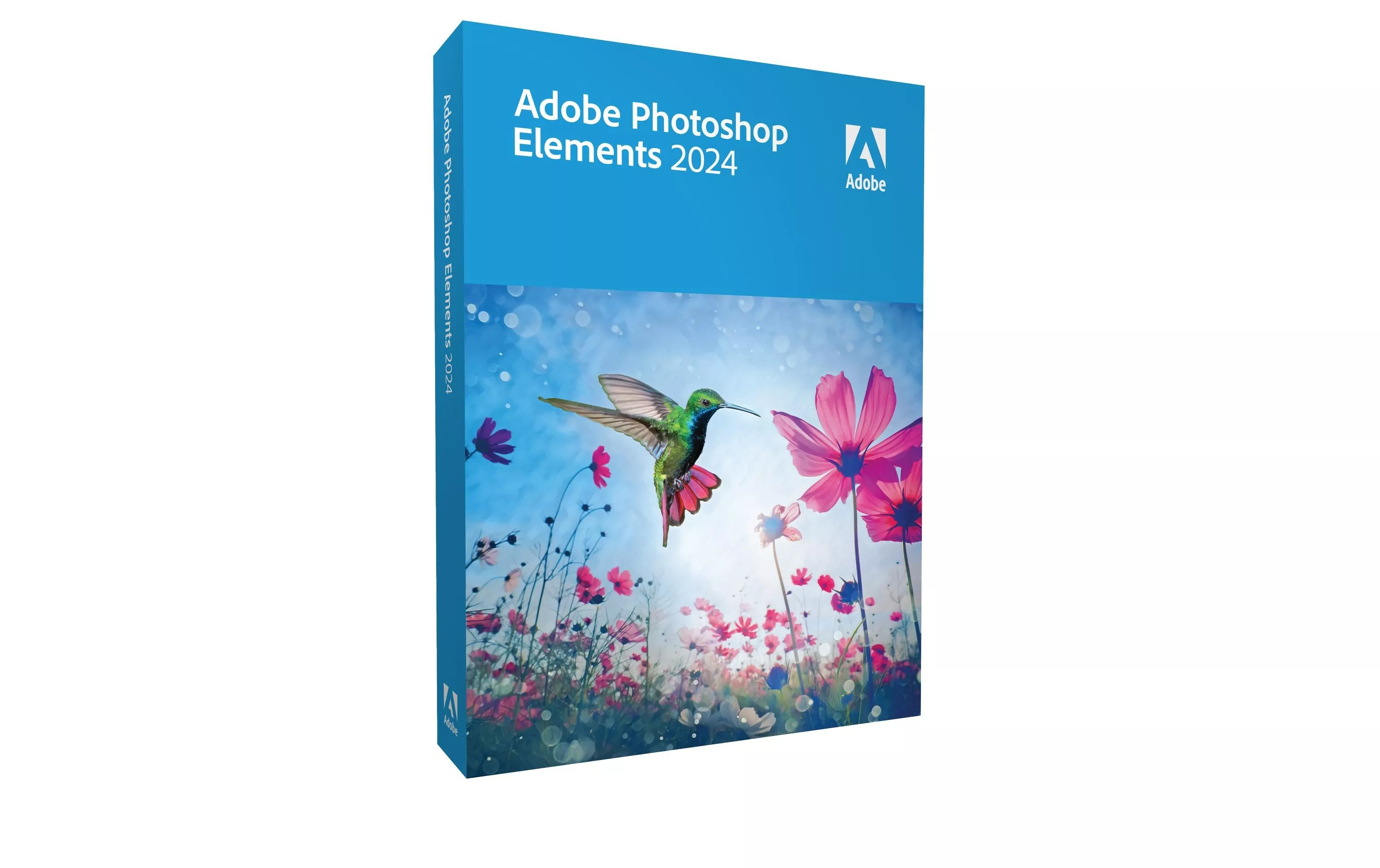 Photoshop Elements 2024 Box, Versione completa, inglese