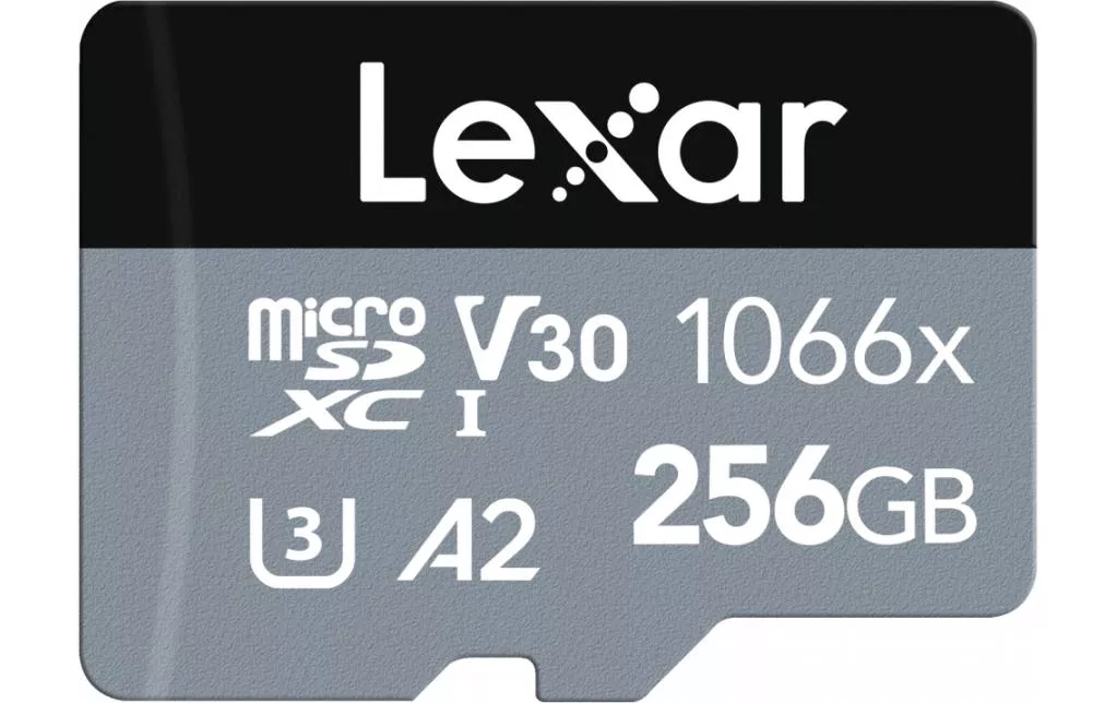 Carte microSDXC Professional 1066x Silver 256 GB