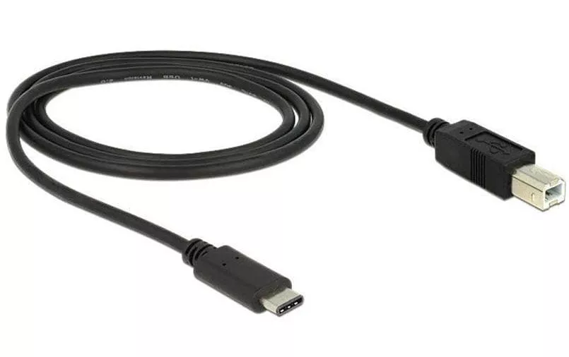 Câble USB 2.0  USB C - USB B 1 m