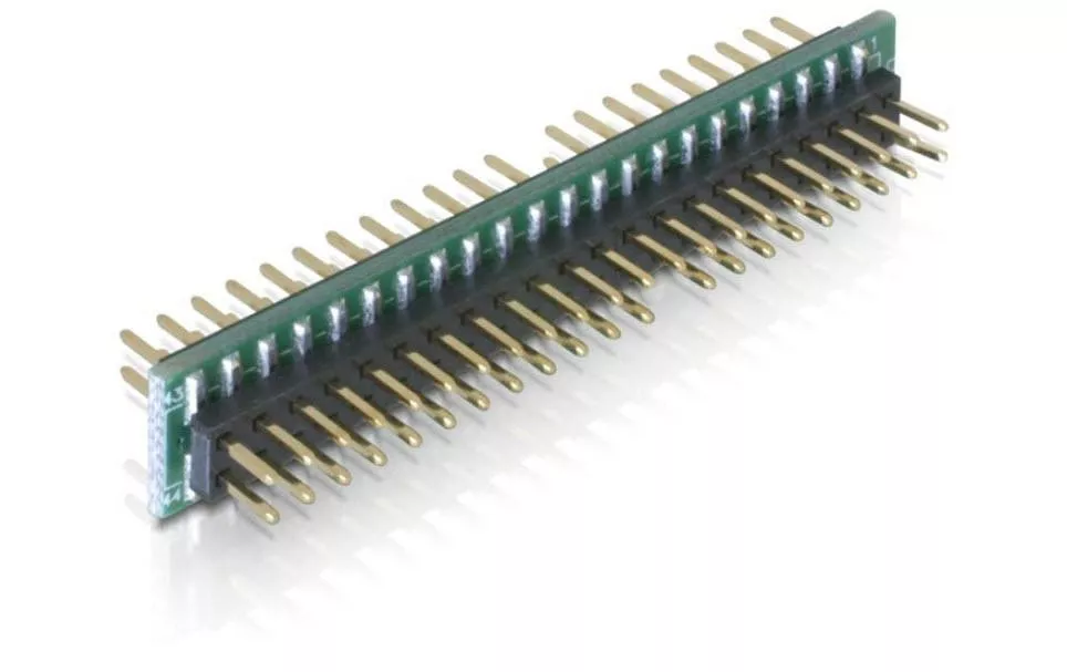 Adattatore Delock Connettore IDE 44 pin