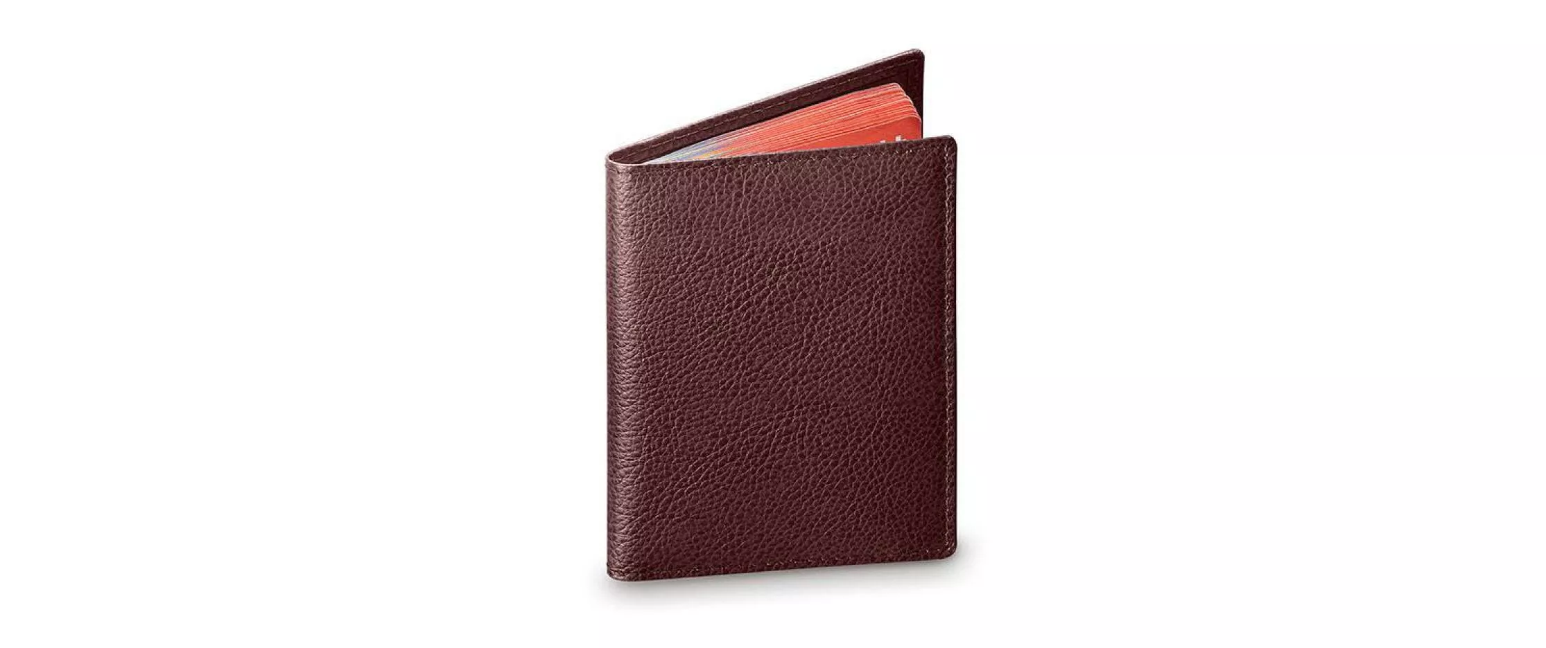 copertura protettiva passaporto sicuro rosso marrone
