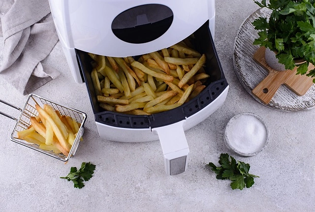Mini-friteuse avec service à fondue intégré - 0,9 L - Friteuse - Achat &  prix